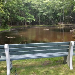 Ipcar Natural Preserve - The bench at Ipcar.