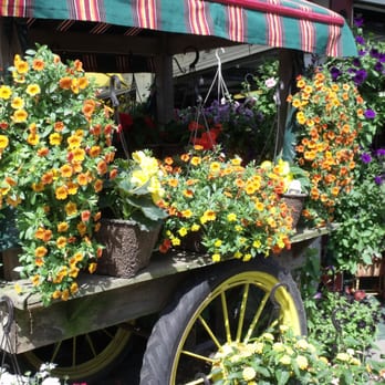 Wells Homestead - a wagon filled with flowers - Fruits & Veggies Near Me - Aquebogue, New York Wells Homestead - a wagon filled with flowers - Fruits & Veggies Near Me - Aquebogue, New York
