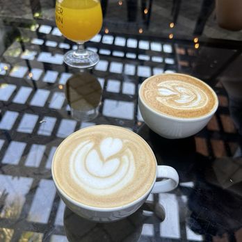 Elevation Coffee Roasters - Coffee Roasteries Near Me - Tampa Bay, Florida