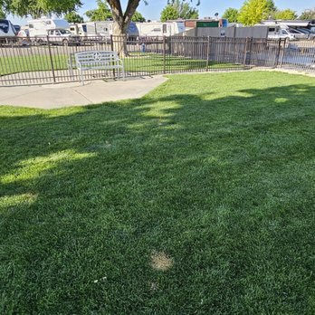 Hi-Valley Rv Park - Dog area - RV Parks Near Me - Boise, Idaho Hi-Valley Rv Park - Dog area - RV Parks Near Me - Boise, Idaho