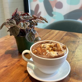 Katherine Anne Confections - Large salted caramel hot chocolate with a brown sugar grapefruit marshmallow & a salted caramel marshmallow - Chocolatiers & Shops Near Me - Chicago, Illinois Katherine Anne Confections - Large salted caramel hot chocolate with a brown sugar grapefruit marshmallow & a salted caramel marshmallow - Chocolatiers & Shops Near Me - Chicago, Illinois