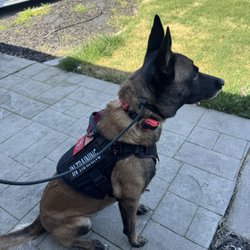 Dogwise Academy - Neighborhood walk, Lincoln Village