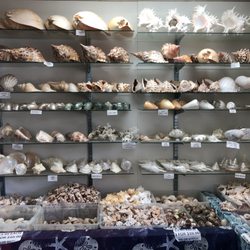 Sanibel Seashell Industries