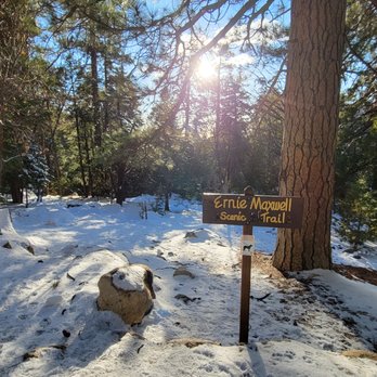 Ernie Maxwell Scenic Trail - Hiking Near Me