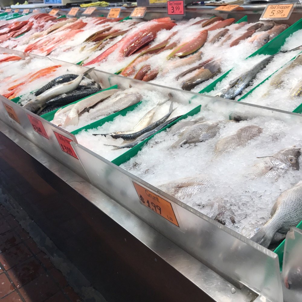 Y & S Fish Mkt - a variety of fish on display - Seafood Markets Near Me - Brooklyn, New York Y & S Fish Mkt - a variety of fish on display - Seafood Markets Near Me - Brooklyn, New York