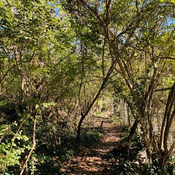 Fort Dickerson Park  - Hiking trails - Parks Near Me - Knoxville, Tennessee