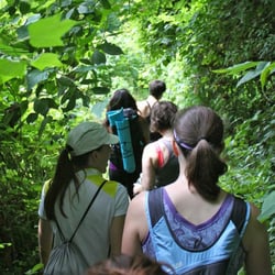Yoga Hikes - Hiking along the banks of Rock Creek
