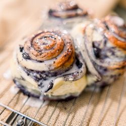 Calculated Whisks Bakery - Photo by Tiffany Longeway