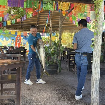 beuna vida - Fresh catch of the day - Mexican Near Me - Loreto, BCS