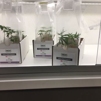 The Green Solution - Cannabis Dispensaries Near Me - Denver, Colorado