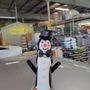 Photo of Tractor Supply