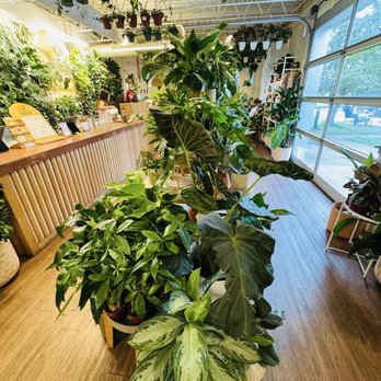 That Feeling Co - Plants - Nurseries & Gardening Near Me - Anchorage, Alaska