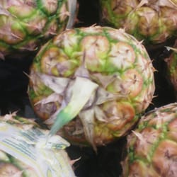 Mercado de la 95 - No hay nada como poder escoger tu fruta