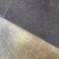 Zoo Reptiles Birds & Fish - That's the filthy ground our baby was put on