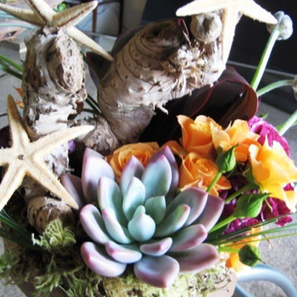 French Florist - Florists Near Me - El Segundo, California French Florist - Florists Near Me - El Segundo, California