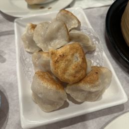 Pan Fried Dumplings