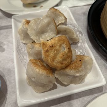 456 New Shanghai - Pan fried dumplings - Shanghainese Near Me - New York, New York