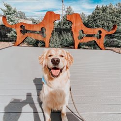 The Boneyard - @lukethegoldenduke