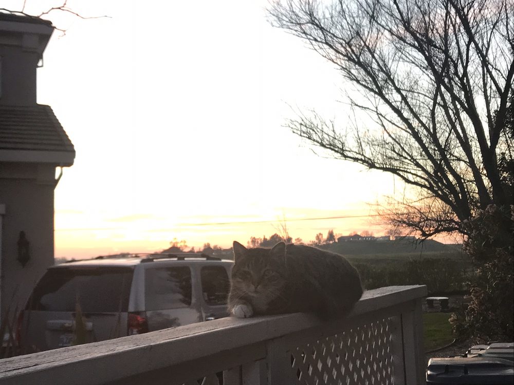 RANCHO MURIETA COUNTRY CLUB Updated September 2024 54 Photos & 26