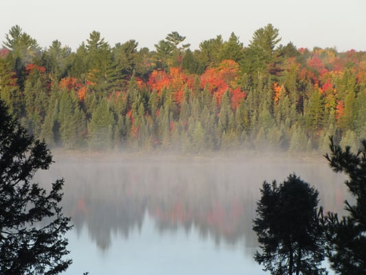 Buckhorn Resort Restaurant by null