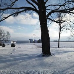 Tremaine Park