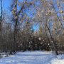Photo of Silver Skate Festival