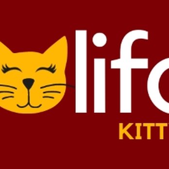 Halifax Kitty Hotel - Pet Boarding Near Me - Dartmouth, Nova Scotia