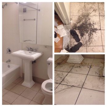 Freedom Cleaning - https://freedomcleaning.us/
+707 517 0394 - Office Cleaning Near Me Freedom Cleaning - https://freedomcleaning.us/
+707 517 0394 - Office Cleaning Near Me