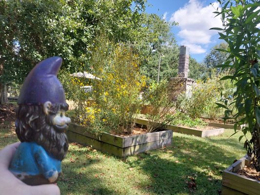 Pascagoula River Audubon Center by null