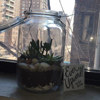 Joy's Flowers Pot - Terrarium: 3 little succulent plants, moss, seashells, sand, rock and dirt :) - Florists Near Me - New York, New York Joy's Flowers Pot - Terrarium: 3 little succulent plants, moss, seashells, sand, rock and dirt :) - Florists Near Me - New York, New York