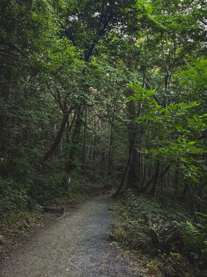 Spencer Butte Trailhead by null