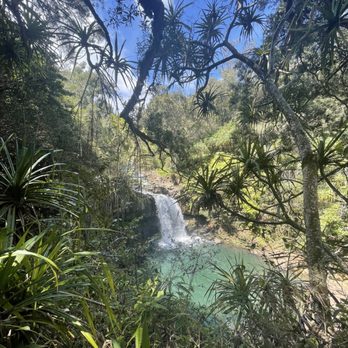 Hike Maui - Tours Near Me - Kahului, Hawaii