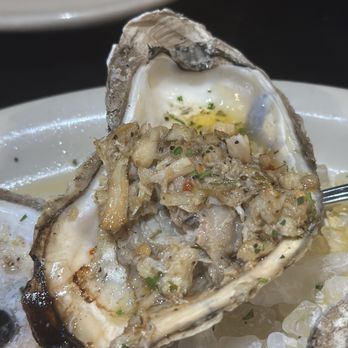 Coconuts - Seafood Near Me - Fort Lauderdale, Florida