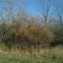 Photo of Edward R Madigan State Fish And Wildlife Area