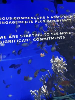 OASIS immersion by null