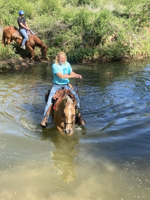 Widowmaker Trail Rides by null