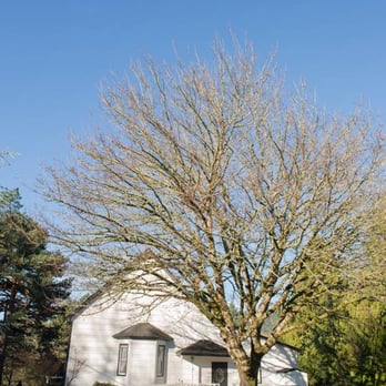 Bell Tower Chapel - Venues & Event Spaces Near Me - Boring, Oregon