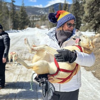 The Mushing Mutts - Sledding Near Me - Ohio City, Colorado