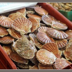 Poissonnerie Municipale - Photo taken during my last trip to Eu - (March 2013). This was the fish market of my childhood.