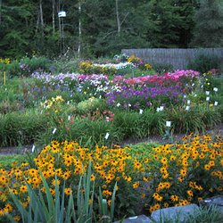 Labour of Love Landscaping & Nursery - Lower garden in August