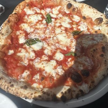 Pizzicletta - Pizza margherita - Pizza Near Me - Flagstaff, Arizona