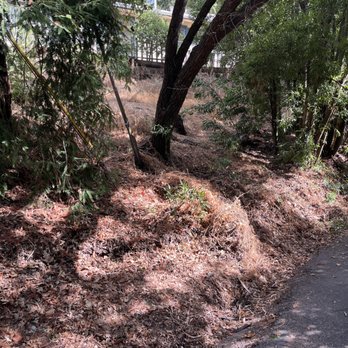 Haul U Need Yard Services - B4 #515 - Landscaping Near Me Haul U Need Yard Services - B4 #515 - Landscaping Near Me
