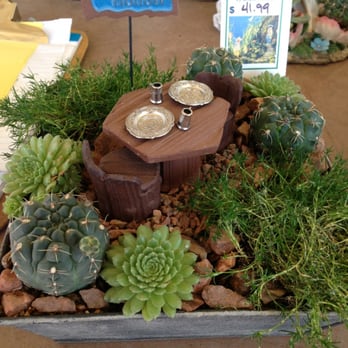 Civano Nursery Inc - Fairy garden - Nurseries & Gardening Near Me - Tucson, Arizona Civano Nursery Inc - Fairy garden - Nurseries & Gardening Near Me - Tucson, Arizona