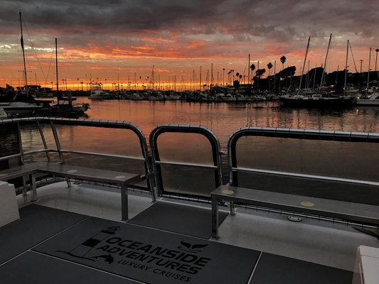 Oceanside Adventures by null