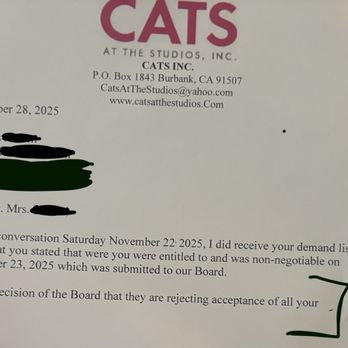 Cats At The Studios - Animal Shelters Near Me