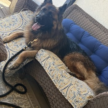 Diamond Oaks Ranch - Pet Sitting Near Me - Murrieta, California