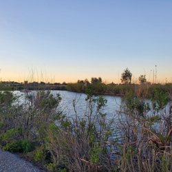 Renzel Marsh Freshwater Pond and Trail - Pond