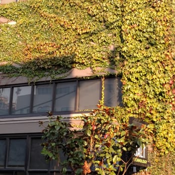 21st Amendment Brewery - View from the outdoor area - Brewpubs Near Me - San Francisco, California