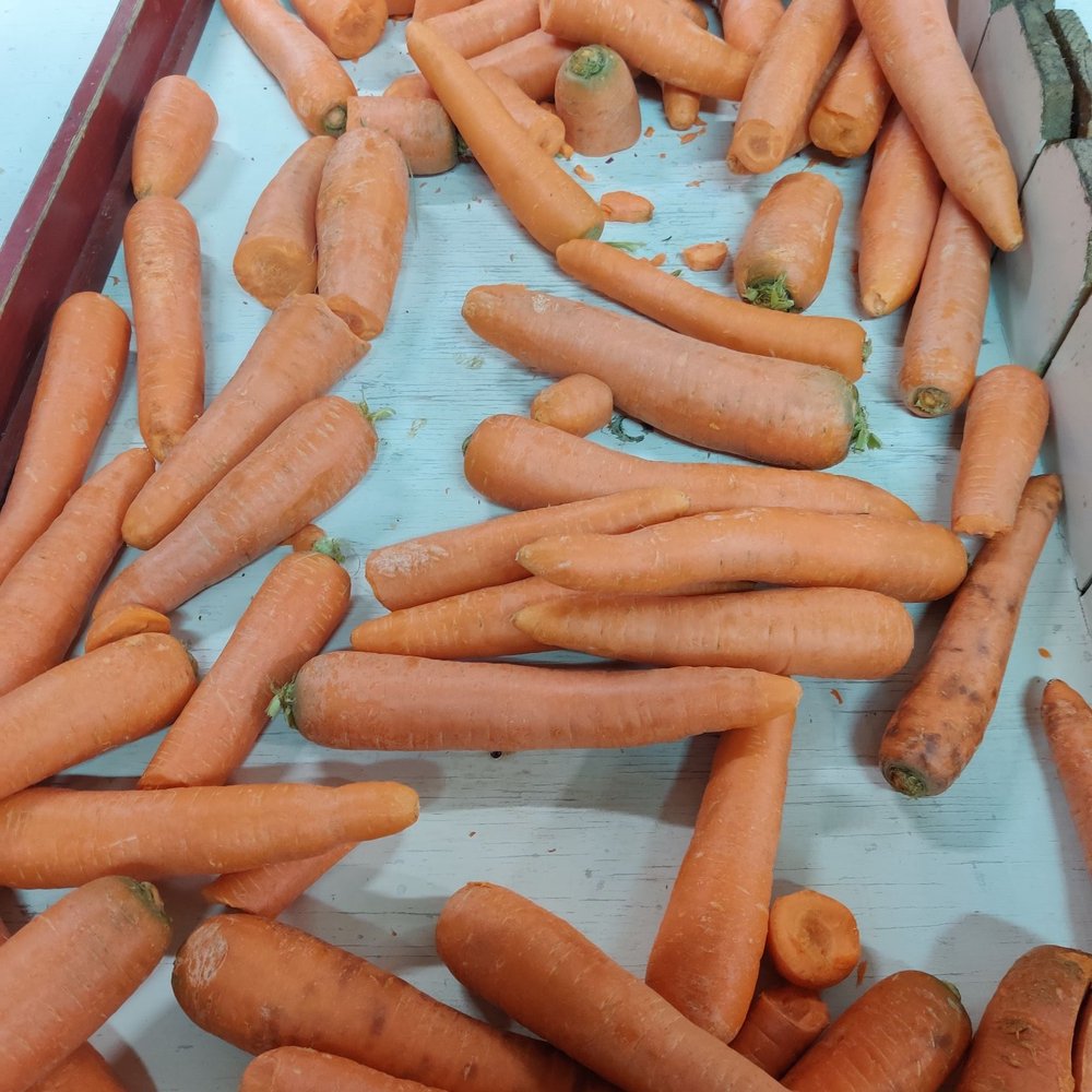 Froberg's Farm - Pick Your Own Farms Near Me - Alvin, Texas Froberg's Farm - Pick Your Own Farms Near Me - Alvin, Texas