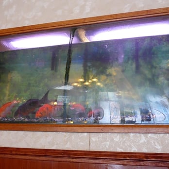 Win's Restaurant - Fish tank inside Win's - Chinese Near Me - San Francisco, California Win's Restaurant - Fish tank inside Win's - Chinese Near Me - San Francisco, California